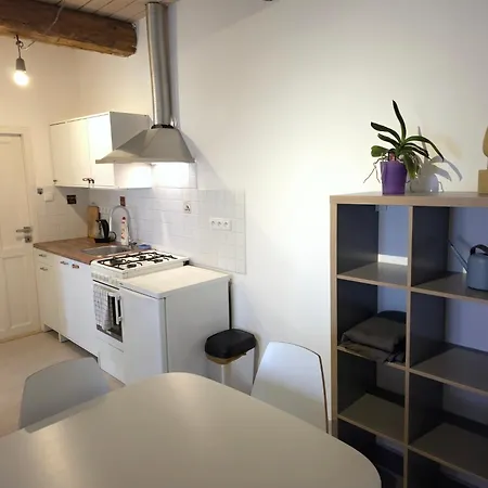 Apartmán Sedlecka V Centru Kutne Hory *